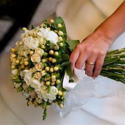 Fiorista Giorgini Danilo - Fiori in Tutto Il Mondo