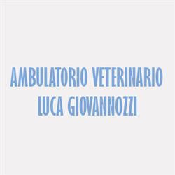 Luca Giovannozzi Ambulatorio Veterinario