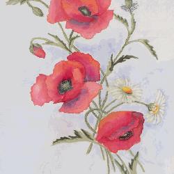 Girardi Avv. Paolo