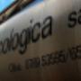 Trasporto Rifiuti Pericolosi