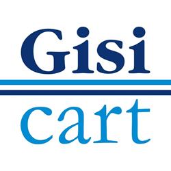Gisicart di Michele Balducci