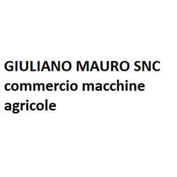 Giuliano Mauro e C.