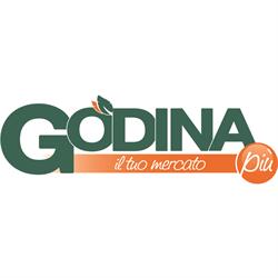 Godina SRL