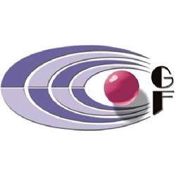 Gonfiotti Fabio
