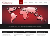 Gp Synergy Srl