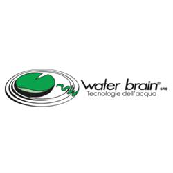 Water Brain