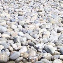Granulati Del Brenta SRL