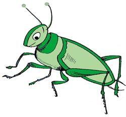 Grasshopper Language School