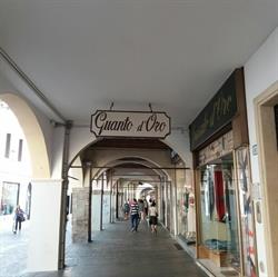 Guanto D'Oro