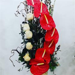I Fiori di Carla Balduina