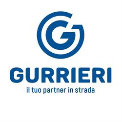 Iveco - Gurrieri Srl