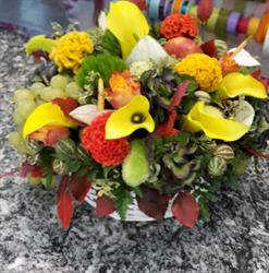 Helga Fiori Di Casiraghi Carlo & C. S.a.s.