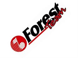 Hi Fi Forest