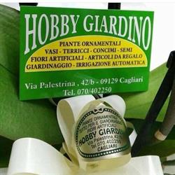 Hobby Giardino Di Mereu Roberto