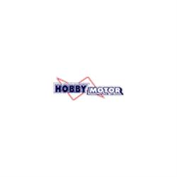 Hobby Motor