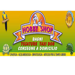 Hobby Shop
