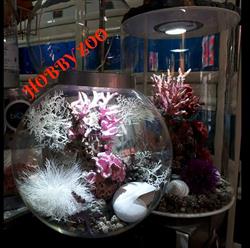 Hobby Zoo