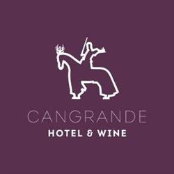 Hotel Cangrande