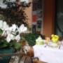 Damodoro Hotel
