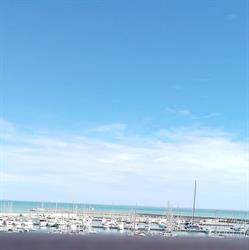 Hotel David Palace