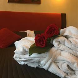 Hotel Delle Tele