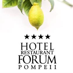Hotel Forum Di F.Lli Falanga Jr.Srl