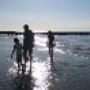 Mare