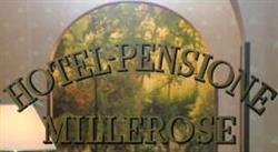Hotel Millerose