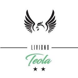 Hotel Teola