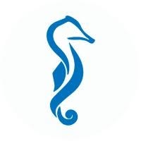 Hyppocampus SRL