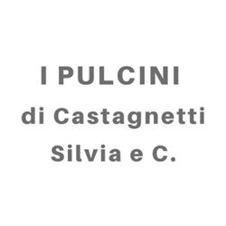 I Pulcini