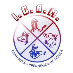 I.C.A.M. SRL