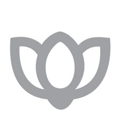 I.P.V. SRL