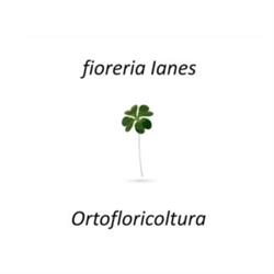 Fioreria e Floricoltura Ianes