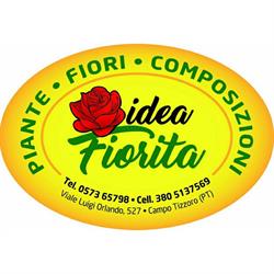 Idea Fiorita Di Anzidei Stefania