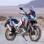 Gallery Professionale