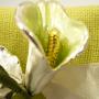 Calla argento