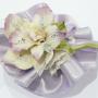 Orchidea Fratelli Majello
