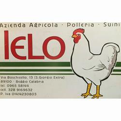 Polleria E Suini Di Ielo Domenico Dal 1960