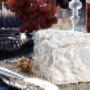 Gorgonzola