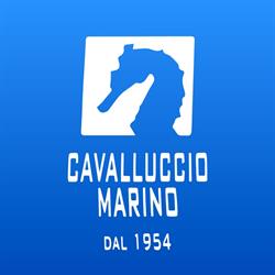 Il Cavalluccio Marino