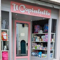 Il Copiatutto di Francesca Cocchi