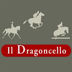 Il Dragoncello pony club