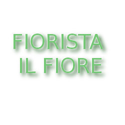 Fiorista il Fiore