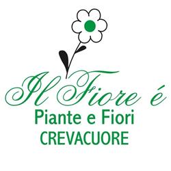Il Fiore E' Di Lazzarin Luciano e C. S.n.c.