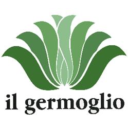 Il Germoglio di Passoni Tiziano
