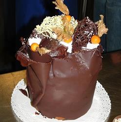 Il gelato fregona