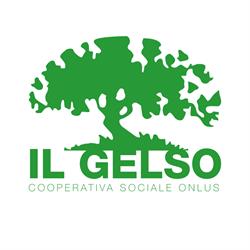 Il Gelso