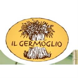 Il Germoglio Srl