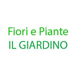 Fiori e Piante Il Giardino
